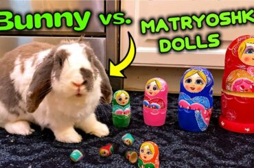 Rabbit opens Russian Dolls filled with lettuce | Bunny vs. Matryoshka Babushka nesting dolls