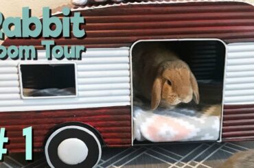 Rabbit Room Tour 1 - BEST Bunny Setups!