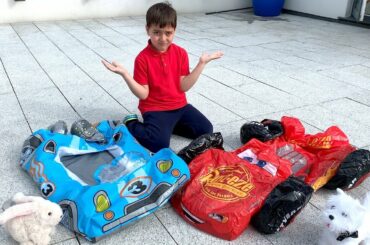 Dodo playing with puppy, rabbit and toys!