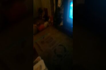 Louder than a bunny rabbit