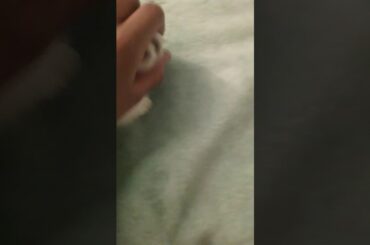 First time on YouTube 🤗with my bunny