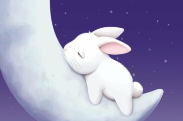 The Cutest Bunny in the Whole World