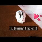 15. Bunny Tricks