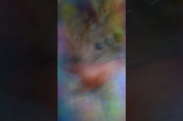 Me having a good time with my baby bunny