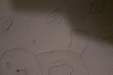 My cute bunny I love it