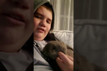 Cutest bunny in the world