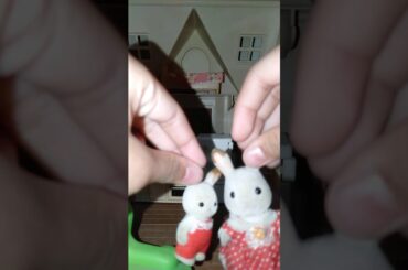A new house for bunny^^ (toy bunny cute #2)