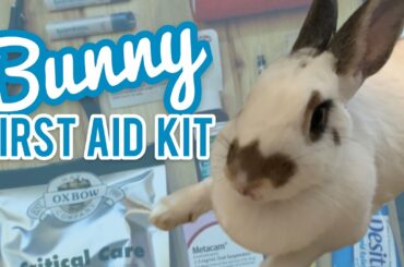 Preparing Your Bunnies First Aid Kit