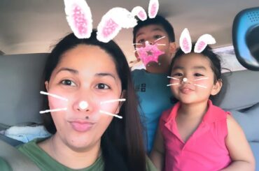 Cute bunnies