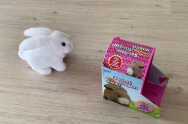 Sevimli tavşan robbie, zıplayan oyuncak tavşan