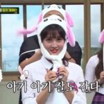 Momo being a cute rabbit on this tv show
