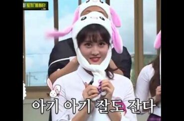 Momo being a cute rabbit on this tv show