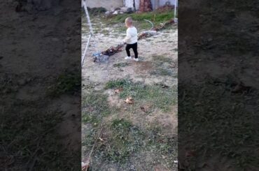 Cat and funny baby