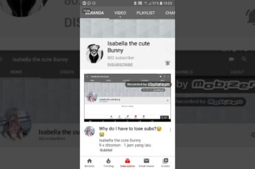 Shout out to Isabella the cute Bunny