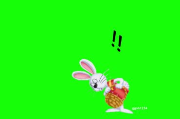 Cute white Rabbit is wondering what's happened in green screen
