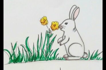 طريقة رسم أرنب واقف و كيوت  How to draw a cute rabbit standing up
