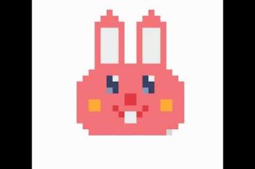 Rabbit🐇🐇🐇🐇