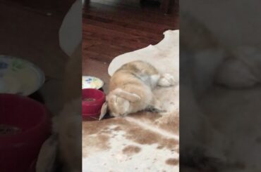 Deep sleep