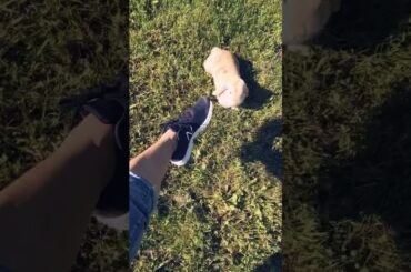 Bunny play time