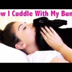 How I Cuddle With My Rabbit