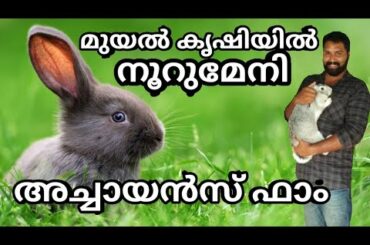 മുയൽ കൃഷിയിലൂടെ മികച്ച വരുമാനം| rabbit farming