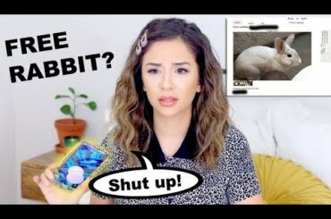 CALLING RABBIT CRAIGSLIST ADS TO EDUCATE PEOPLE!