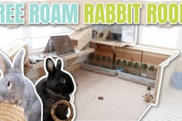 Free Roam Bunny Room Tour! 🐇