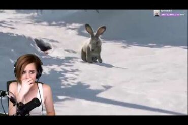 What a cute bunny