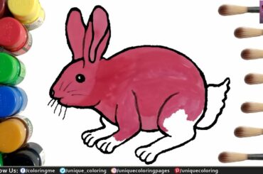 How to Draw a Bunny Easy - Bunny Drawing and Coloring