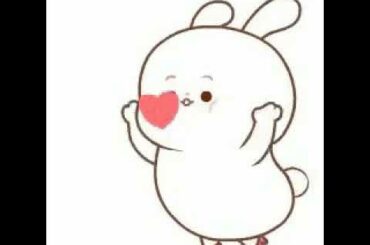 cute bunny