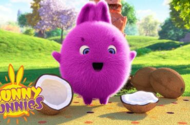 SUNNY COCONUT | SUNNY BUNNIES | Funny Cartoons For Children