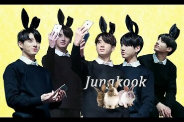 BTS Jungkook Bunny/Rabbit Cute Moments Kpop [VGK]