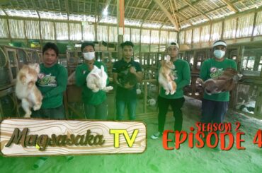 Rabbit Farming (Episode 42)