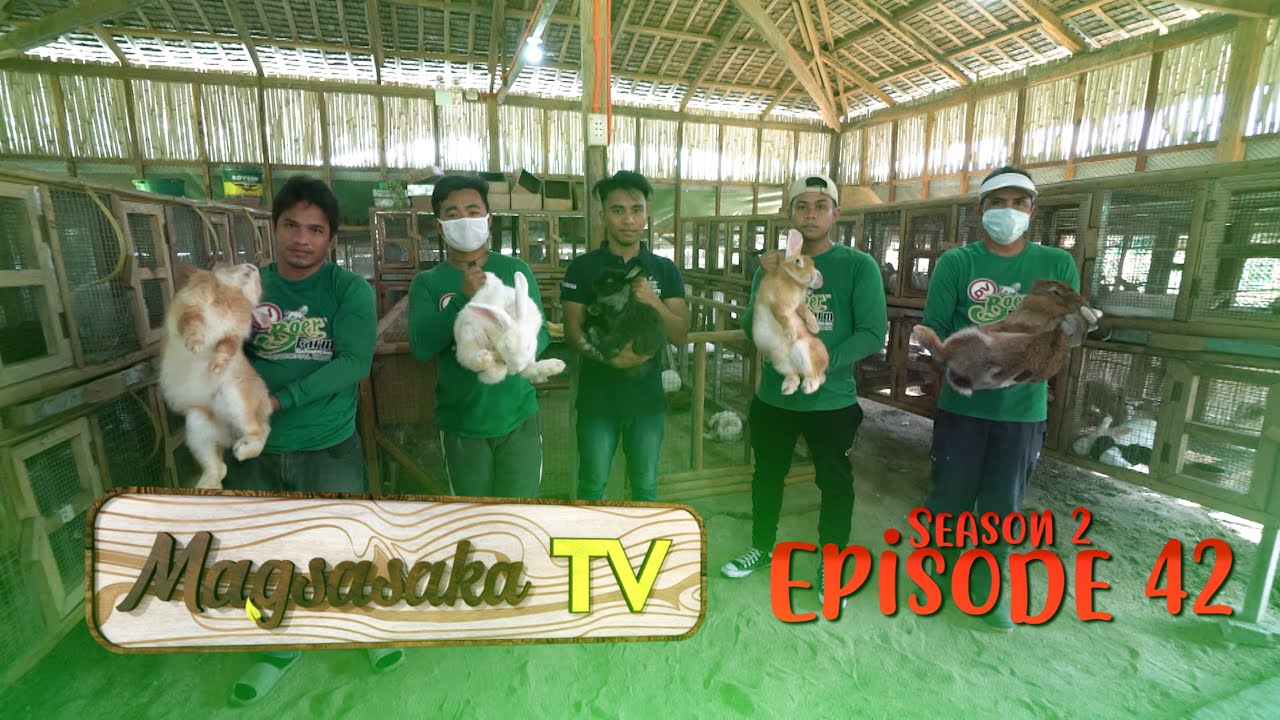 Rabbit Farming (Episode 42)