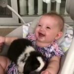 Baby laughs as it plays with a rabbit