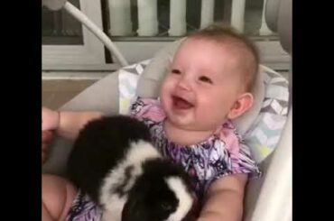 Baby laughs as it plays with a rabbit