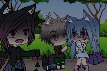 Wip for you little cute kitties and bunnies :3