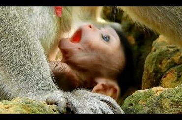 Cute Baby Janna Surprise Big Milk one & two drop Milk into Mouth
