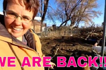 WE ARE BACK AND WE HAVE NEW BABY BUNNIES!!