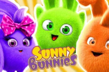 Cartoons for Children | Sunny Bunnies - Funny Bunnies | Funny Cartoons For Children