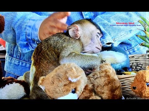 Baby monkey Harper like rabbit toddler so much my wife for these gift