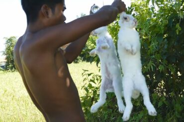 Experiment: GATSBY Cool SHOCK Catch Rabbits & Perfume In Deep Hole