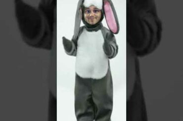 Bunnydance