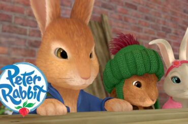 Peter Rabbit - A Quick Escape | Cartoons for Kids