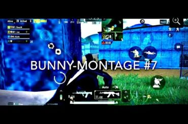 Bunny- Montage #7 (Minitage)