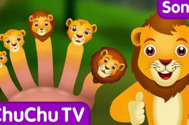 Finger Family Lion | ChuChu TV Animal Finger Family Songs & Nursery Rhymes For Children