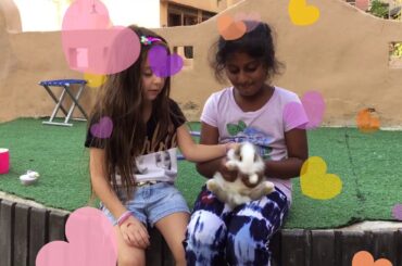 Juli’s little bunny