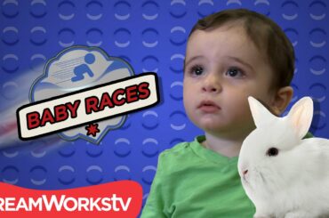 Baby Vs. Rabbit I BABY RACES
