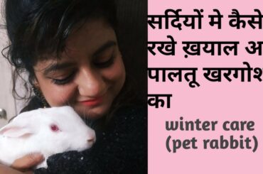 सर्दियों में कैसे रखे ख्याल अपने खरगोश का  | How to Take Care of Your Pet Rabbit in Winters