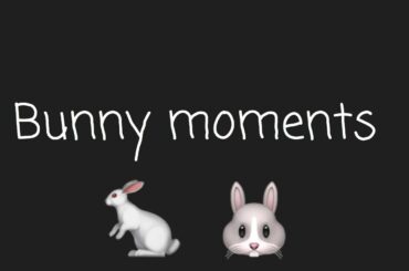 BUNNY MOMENTS (so cute)